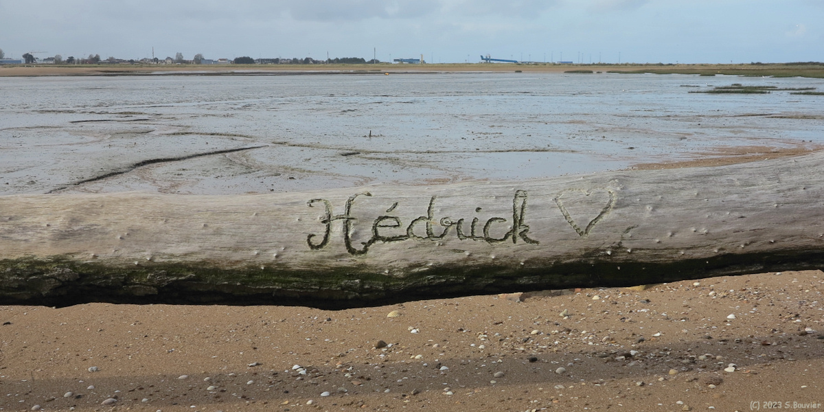Mervillle-Franceville-Plage (Hédrick 1)