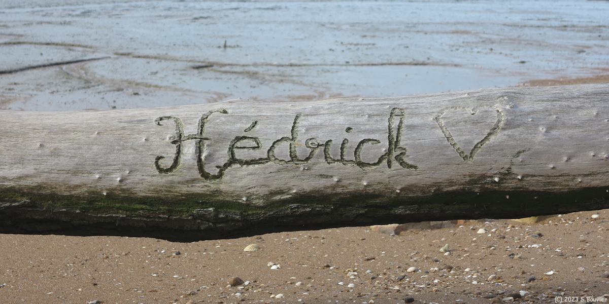 Mervillle-Franceville-Plage (Hédrick 2)