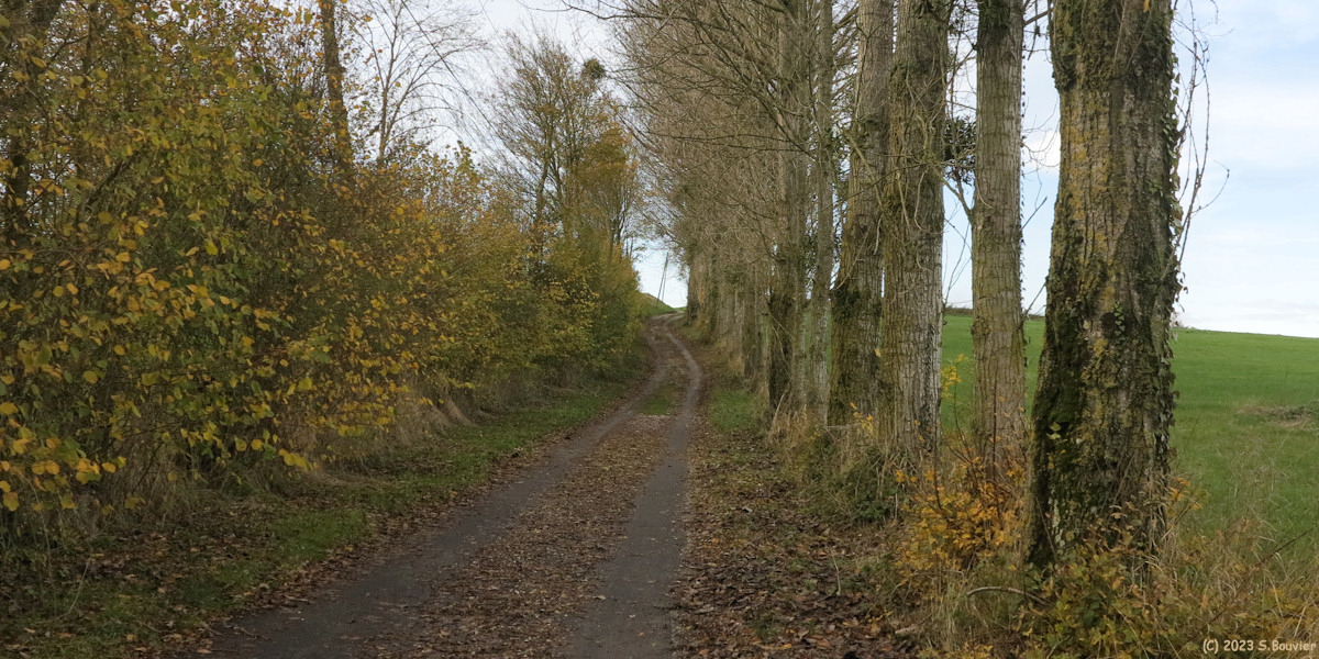 Bully (Chemin bitumé)