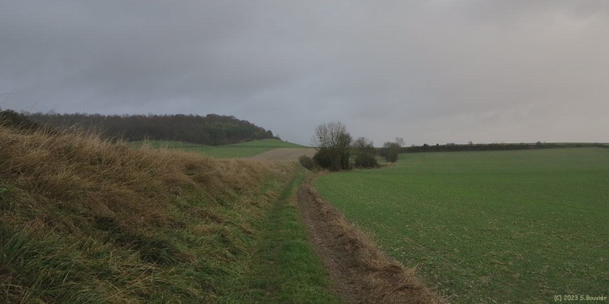 Nesle Hodeng (Chemin 1)