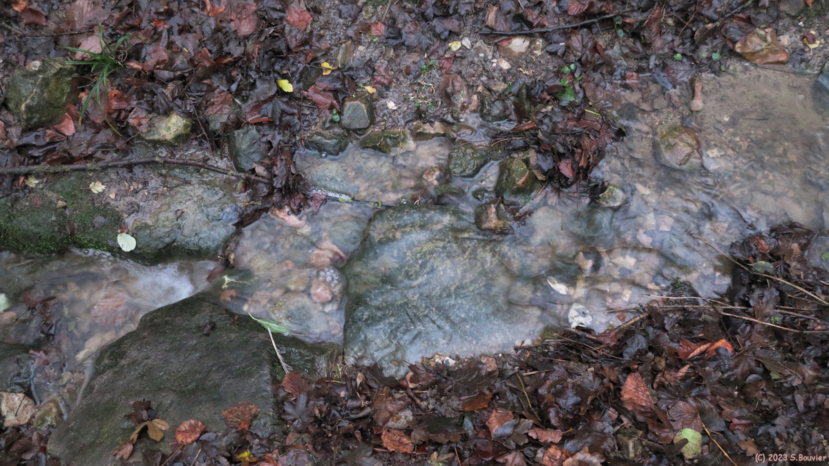 Mesnil Mauger (Eau de Ruissellement)