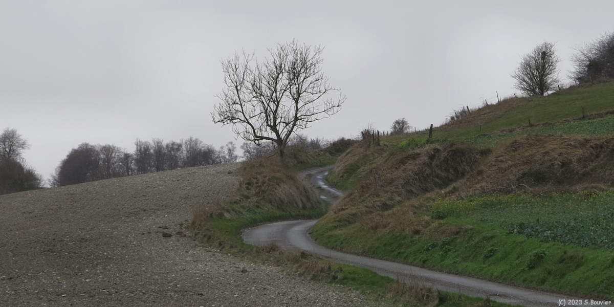 Fresles (Route)
