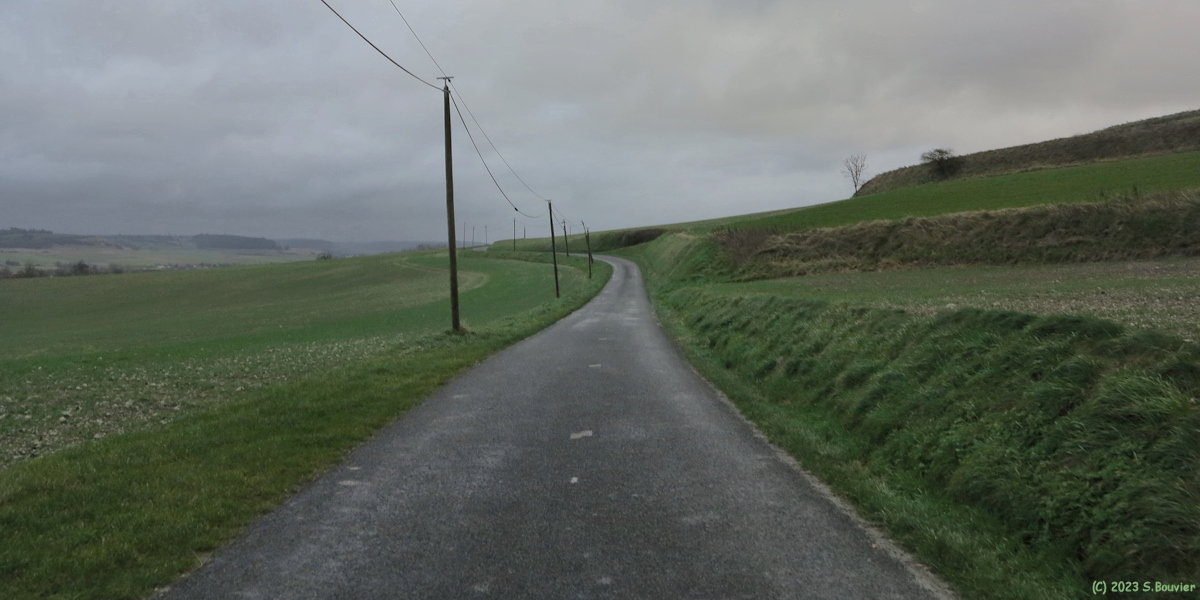 Bully (Route)