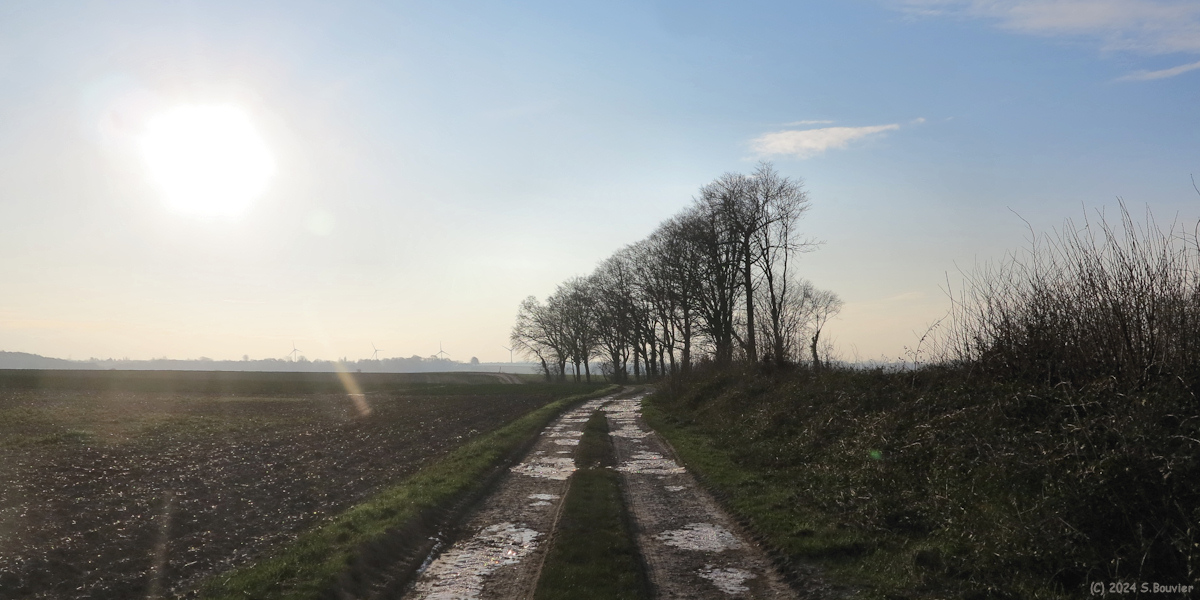 Saint Martin le Gaillard (Chemin 1)
