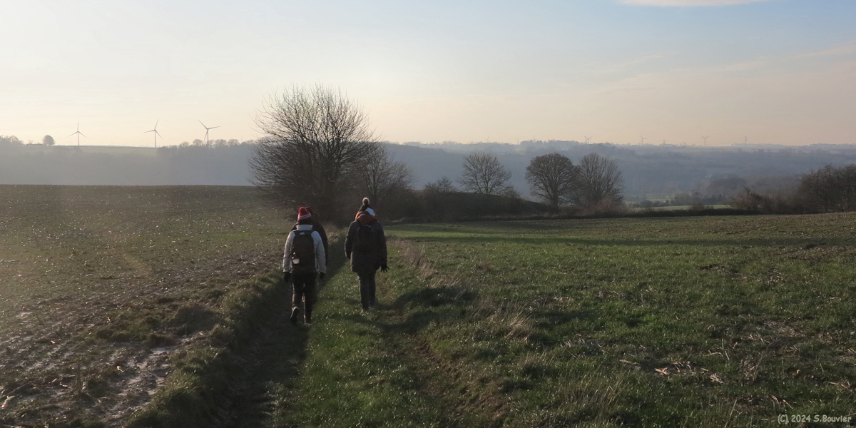 Saint Martin le Gaillard (Chemin 2)