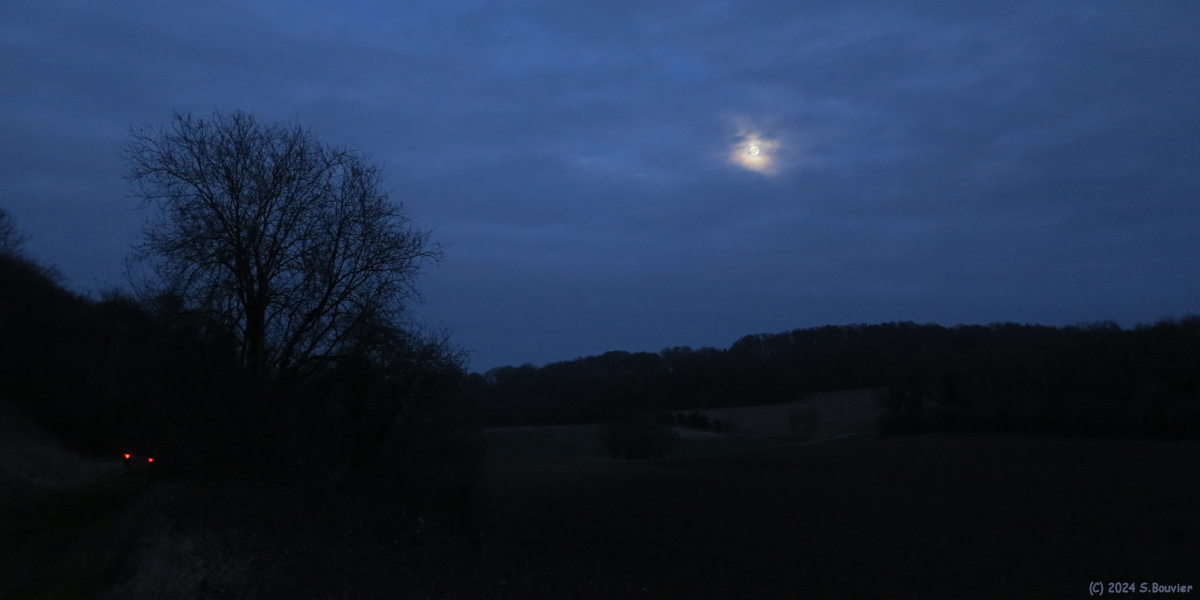 Canehan (Tombée de la Nuit 2)