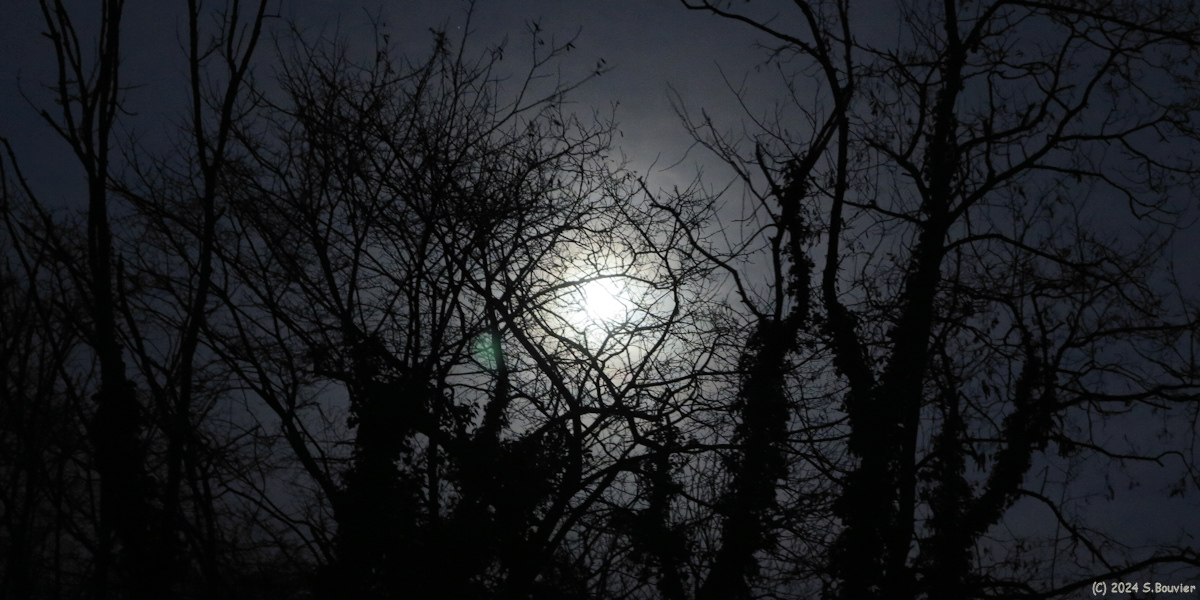 Touffreville sur Eu (Lune)