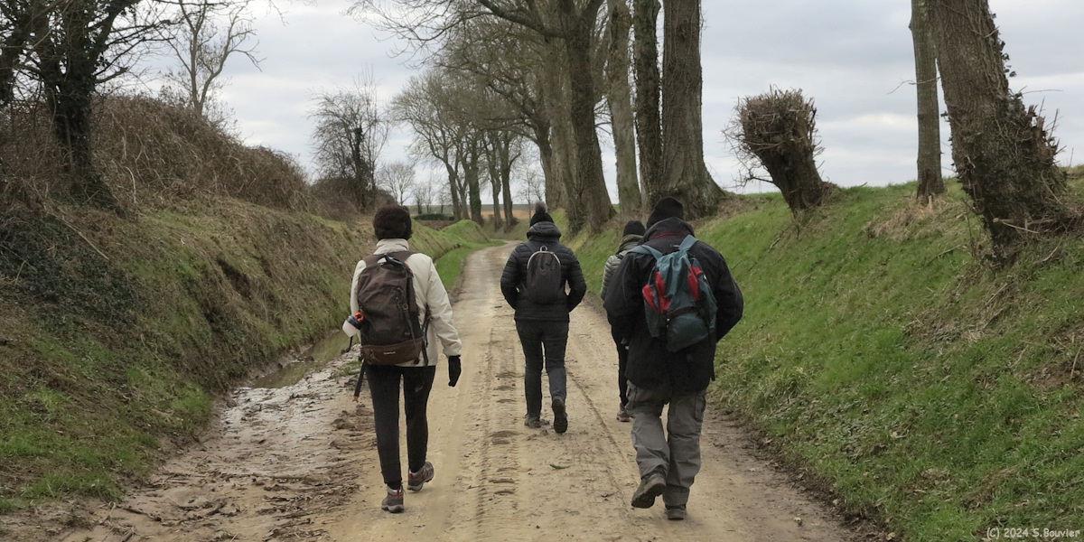 Guilmécourt (Chemin 1)
