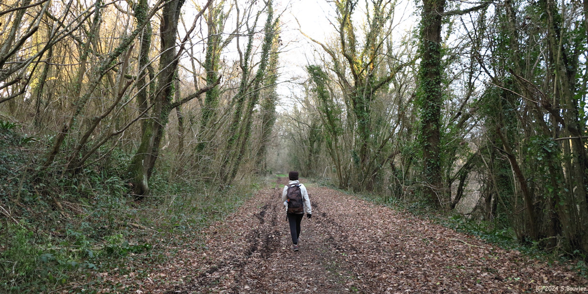 Guilmécourt (Chemin Vert)