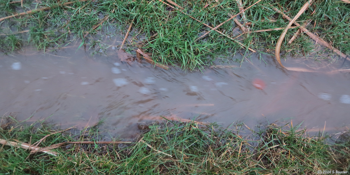 Doudeville (Eau)