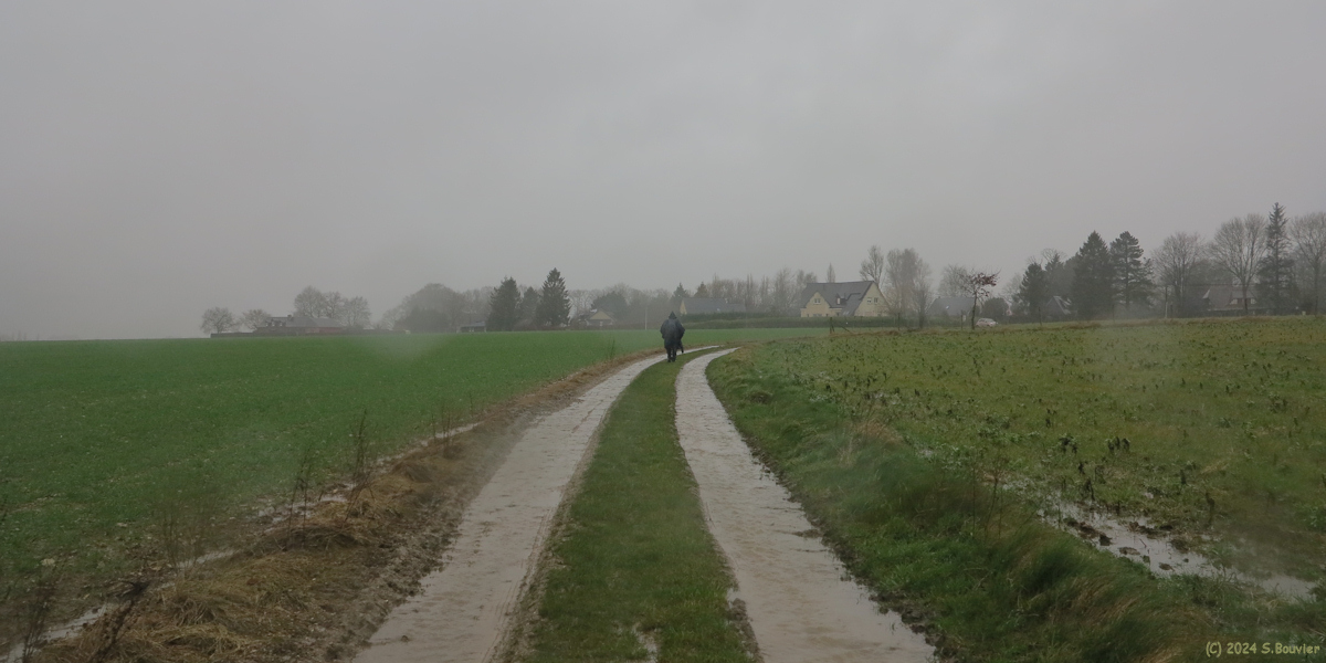Doudeville (Chemin 2)