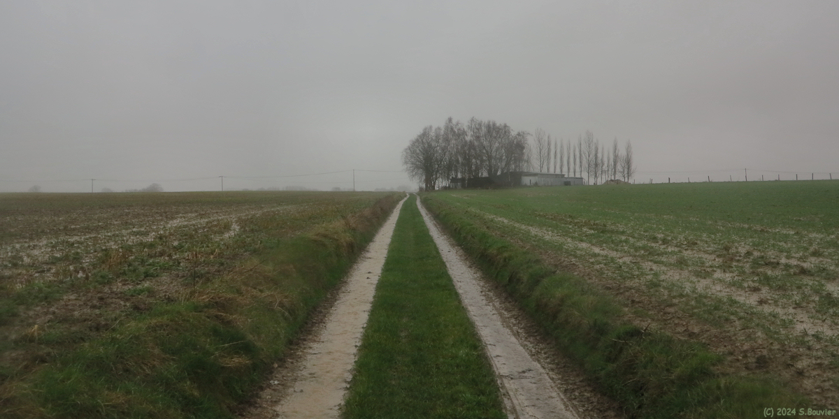 Hautot l'Auvray (Chemin)