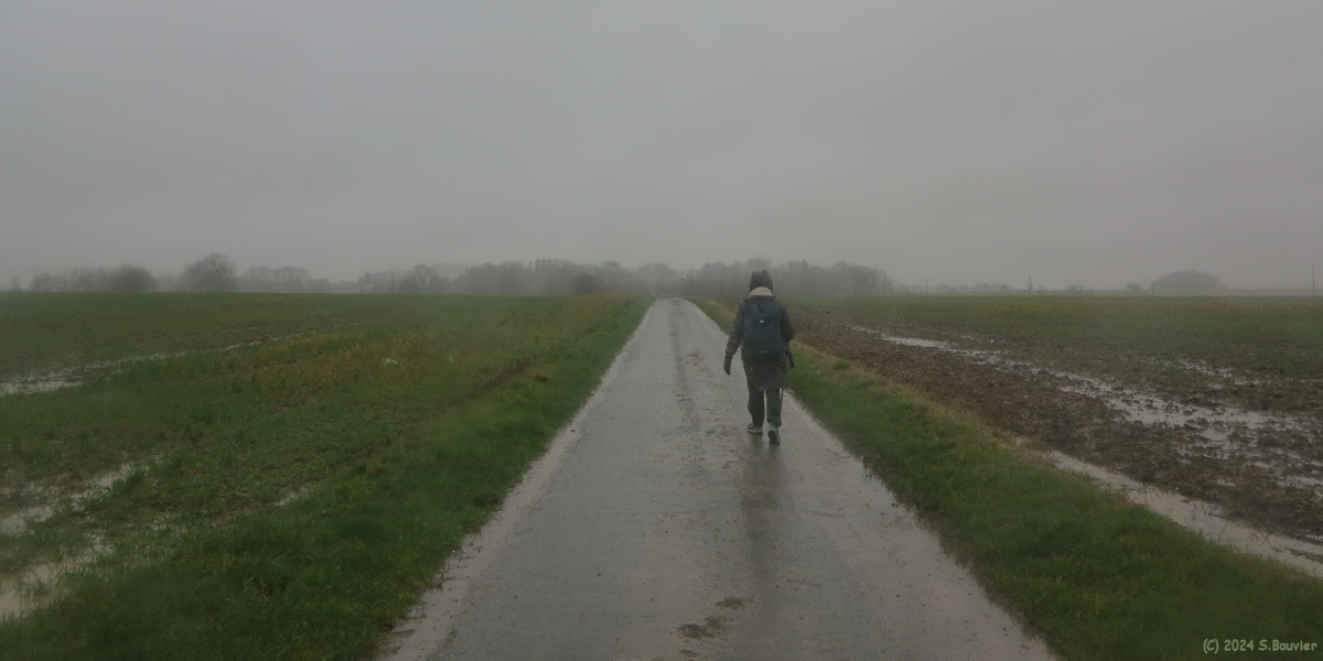 Hautot l'Auvray (Route)