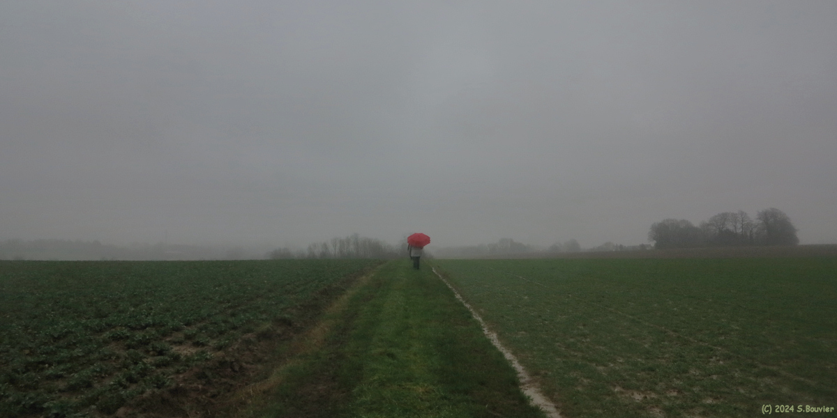 Routes (Chemin 2)