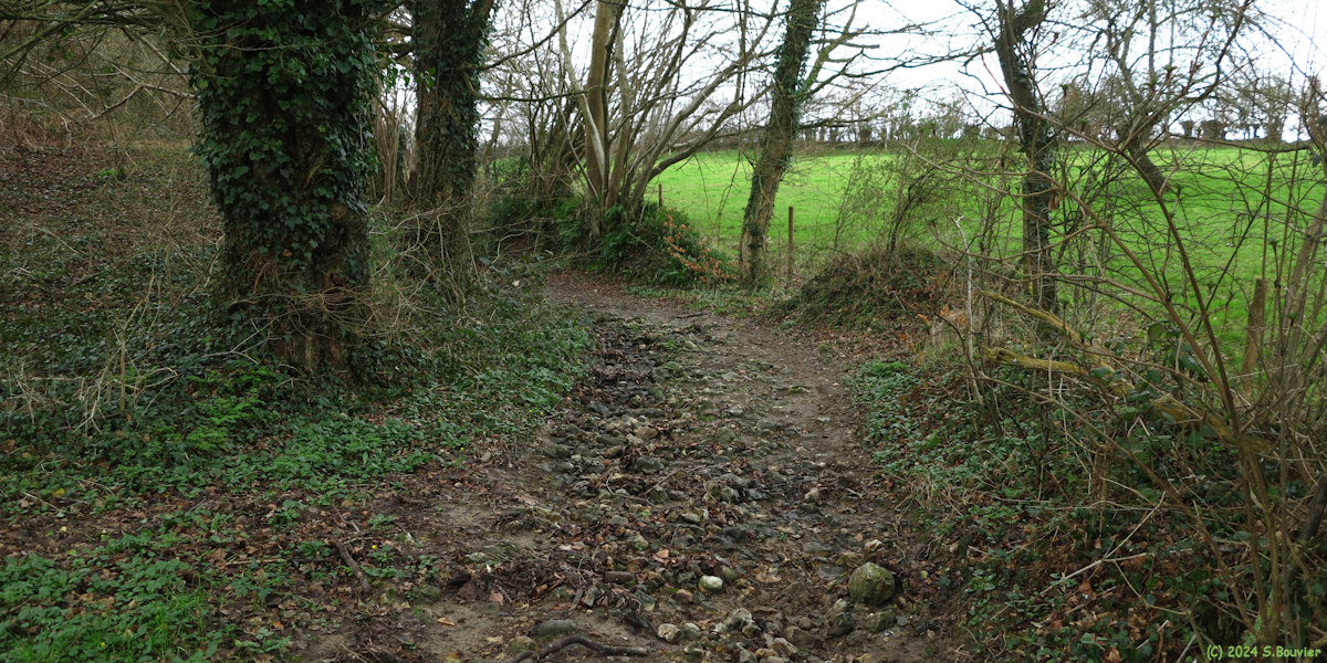 Saint Vaast Dieppedalle (Chemin 2)