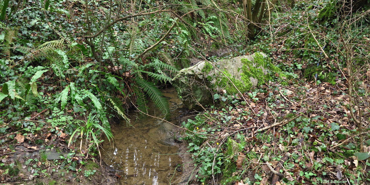 Saint Vaast Dieppedalle (Eau)