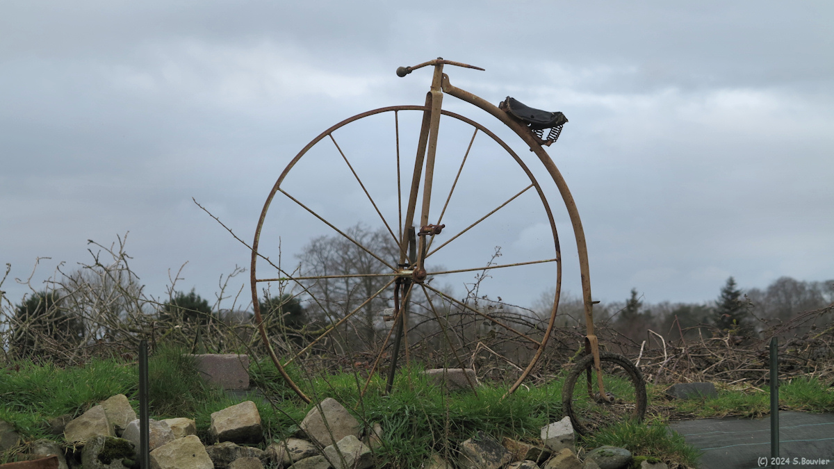 Saint Vaast Dieppedalle (Grand-Bi)