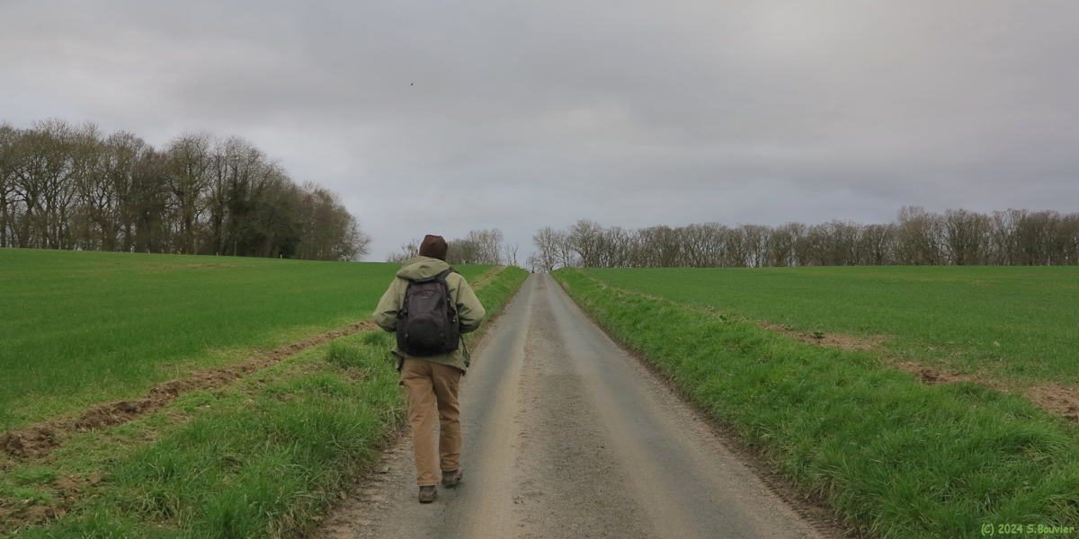 Saint Vaast Dieppedalle (Route 2)
