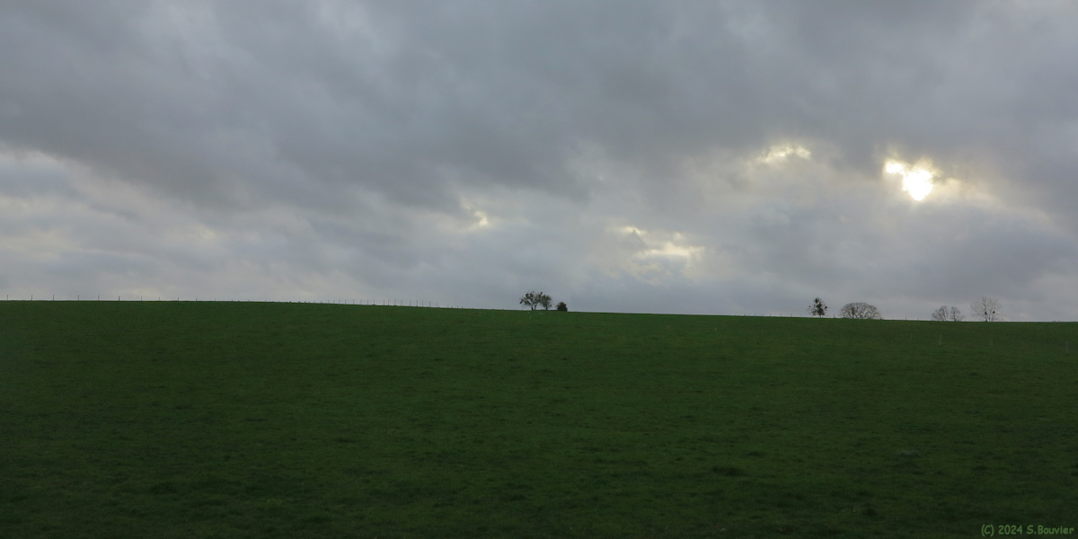 Carville Pot de Fer (Prairie)