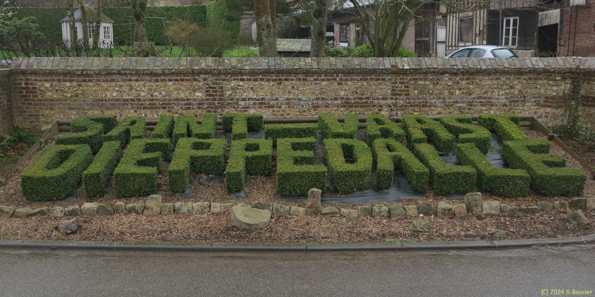 Saint Vaast Dieppedalle (Buis)