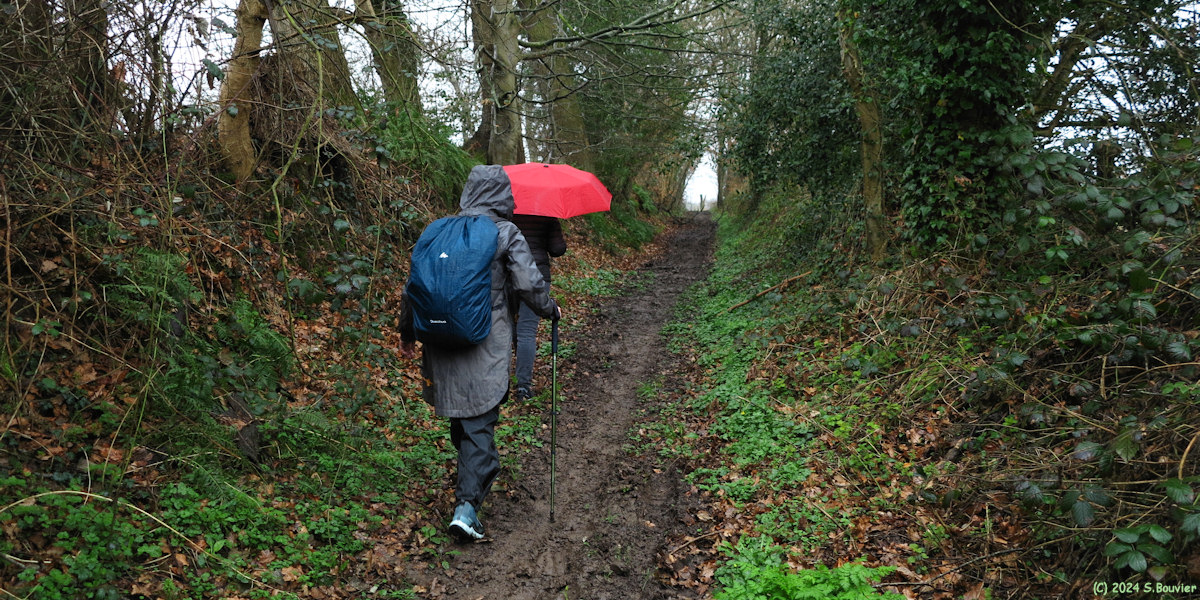 Saint Vaast Dieppedalle (Chemin)