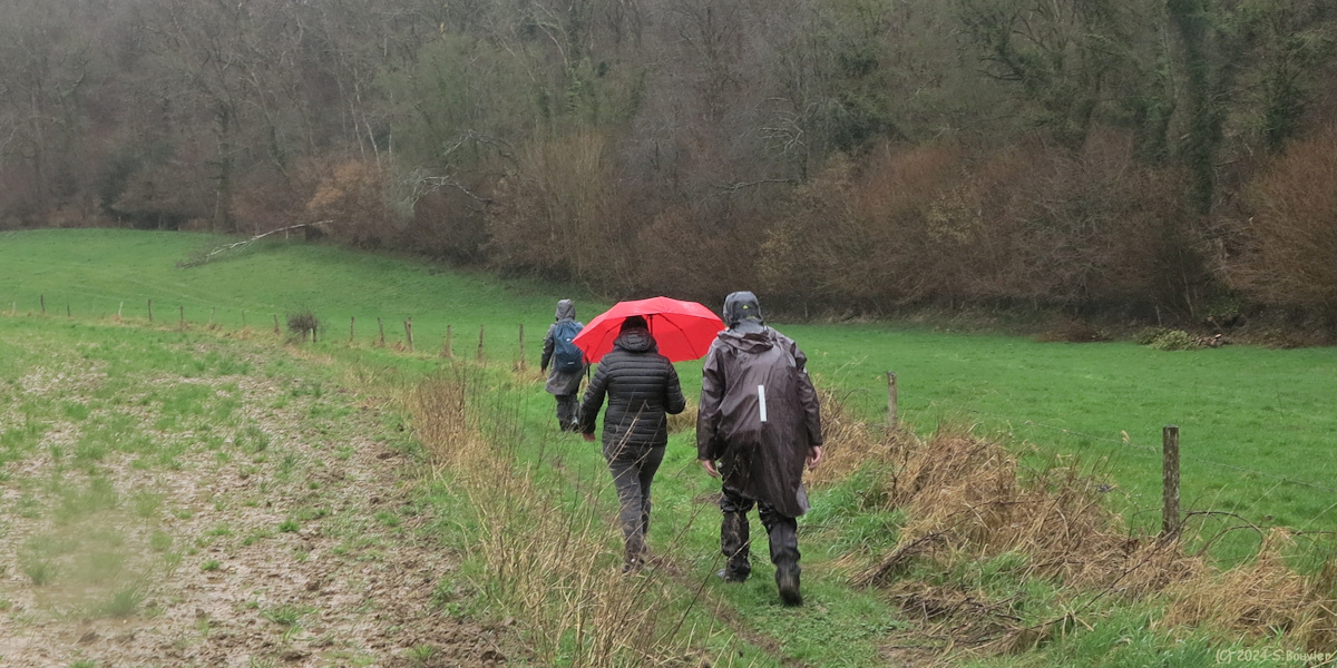 Bosville (Chemin 1)