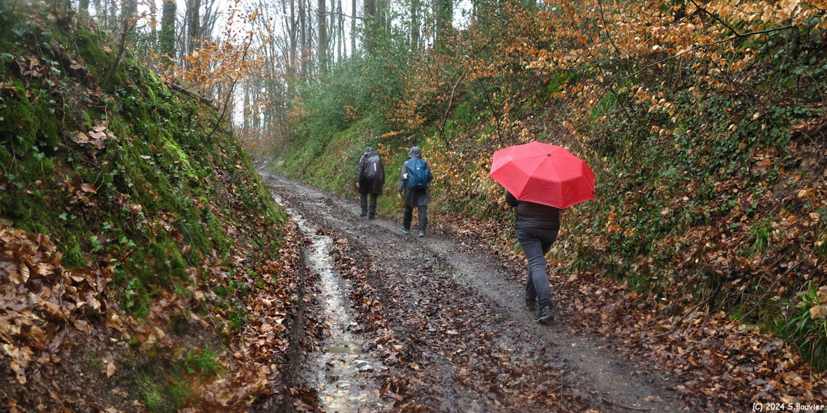 Grainville la Teinturière (Chemin 1)