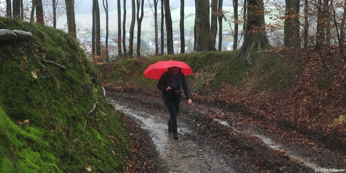 Grainville la Teinturière (Chemin 3)