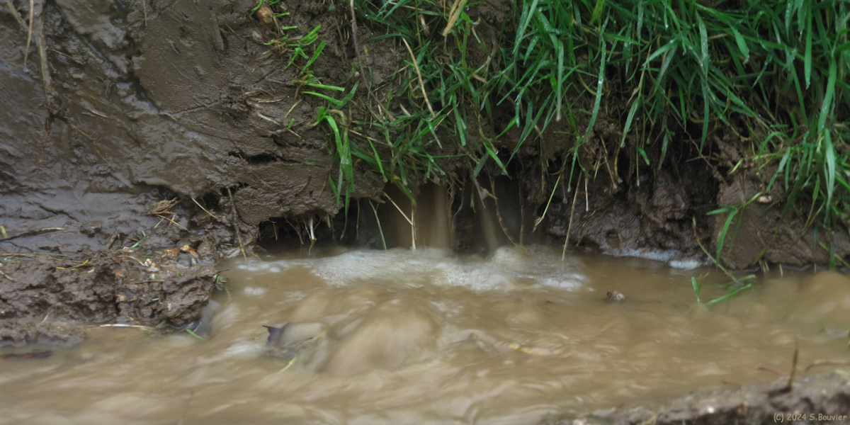 Cany Barville (Eau)