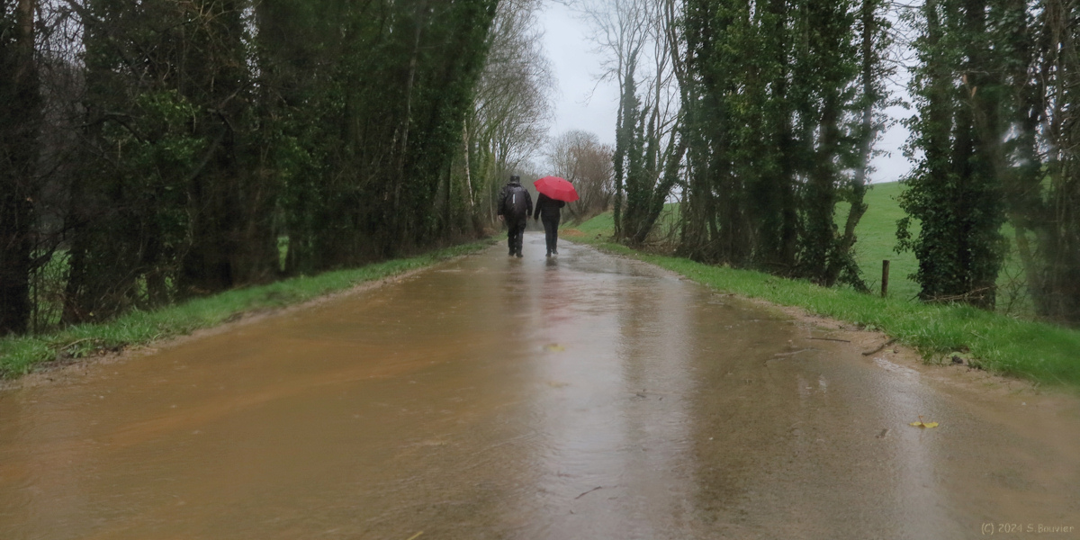 Cany Barville (Vélouroute)