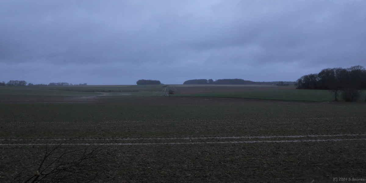 Saint Vaast Dieppedalle (Plaine)