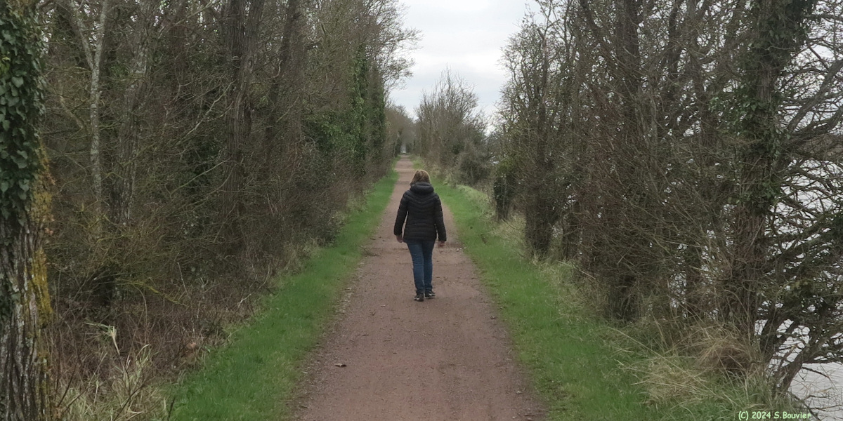 Amfreville (Chemin)