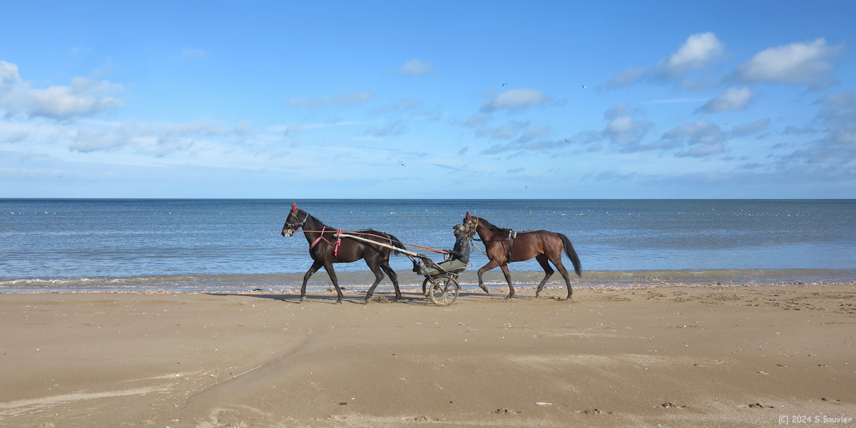 Merville-Franceville-Plage (Chevaux 2)