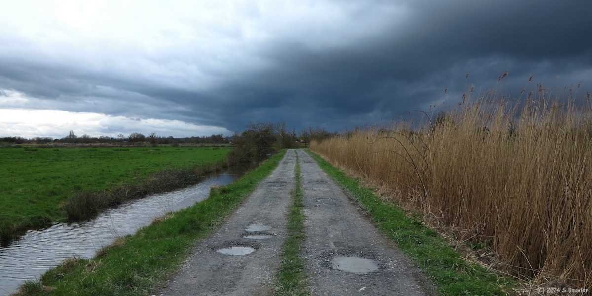 Merville-Franceville-Plage (Chemin 2)