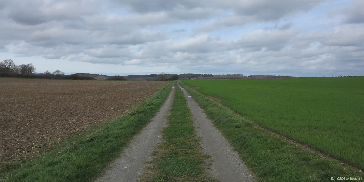 Grainville la Teinturière (Chemin 1)