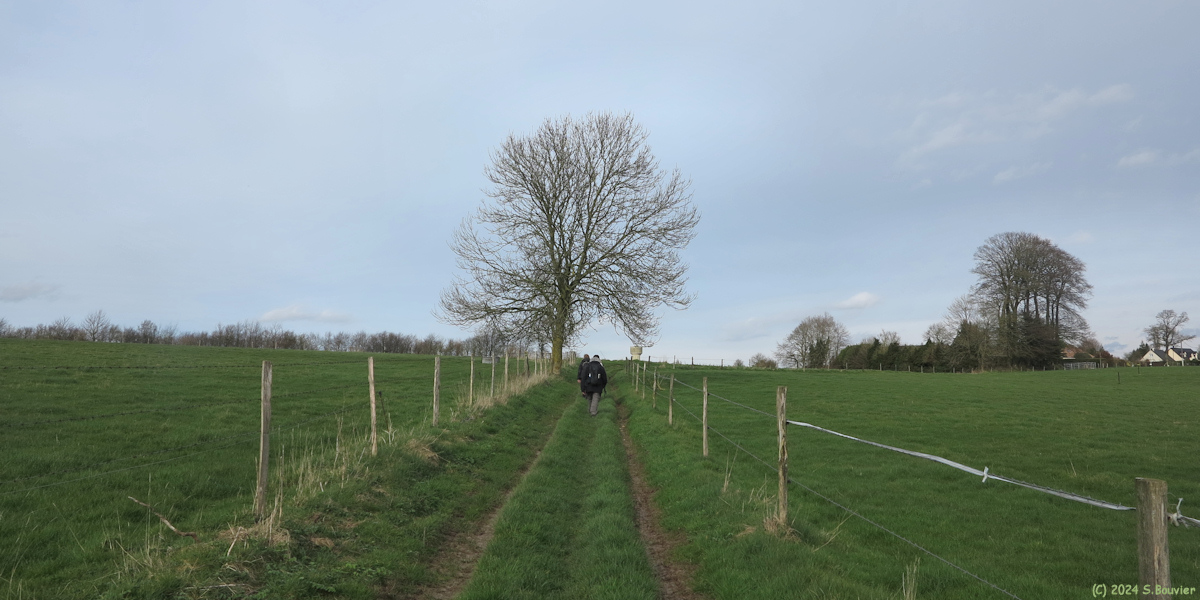 Riville (Chemin)
