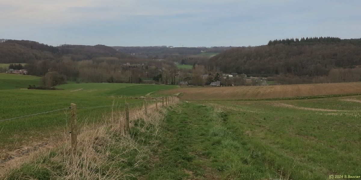 Grainville la Teinturière (Chemin 2)
