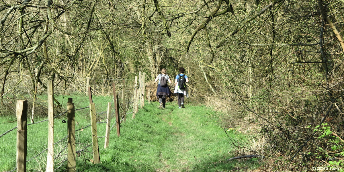 Riville (Chemin)