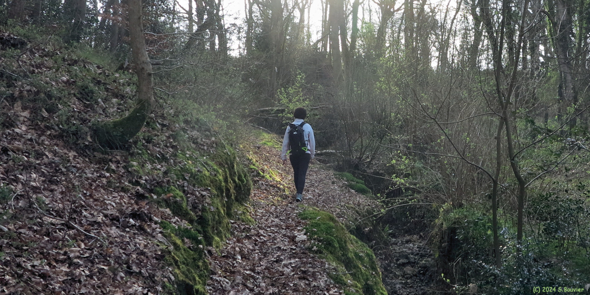 Thiétreville (Sentier)