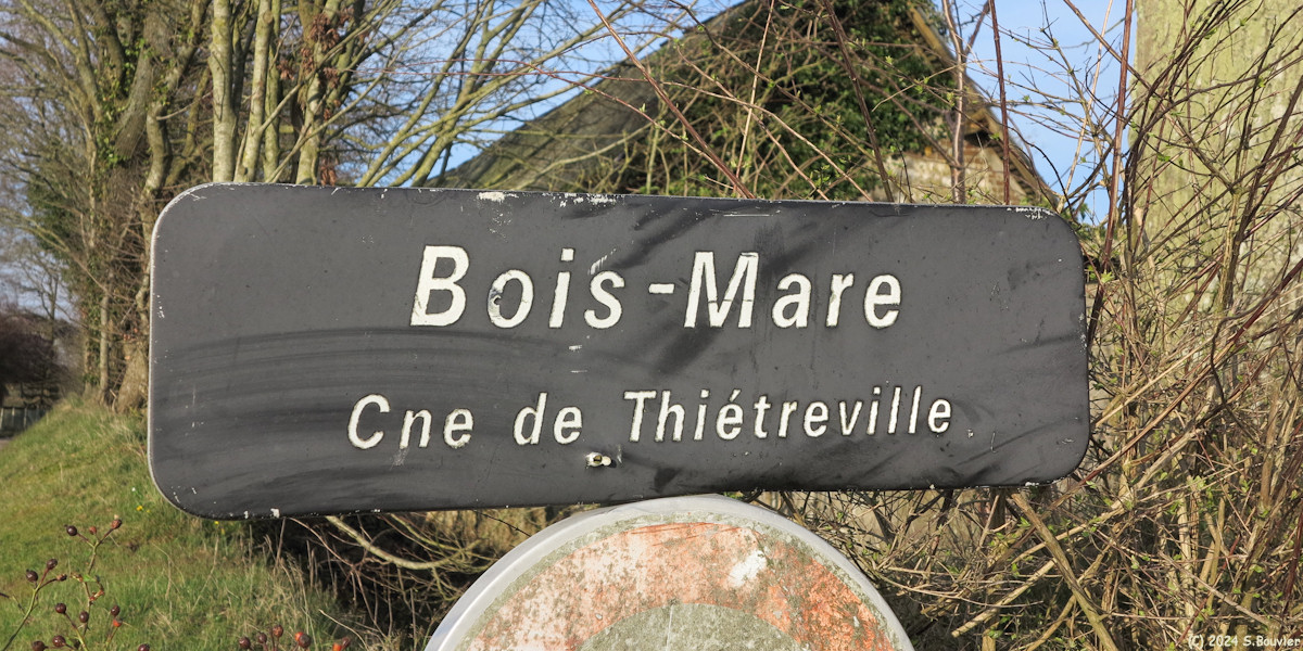 Thiétreville (Bois Mare)