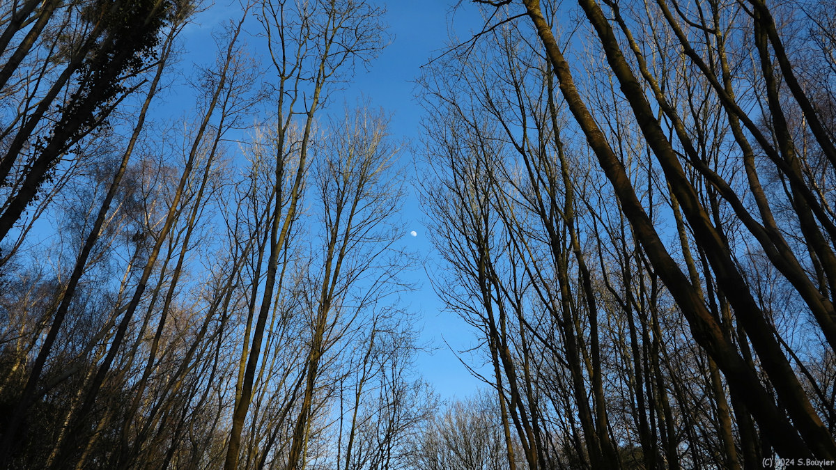 Riville (Lune 1)