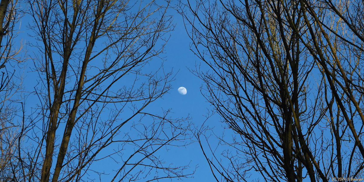 Riville (Lune 2)