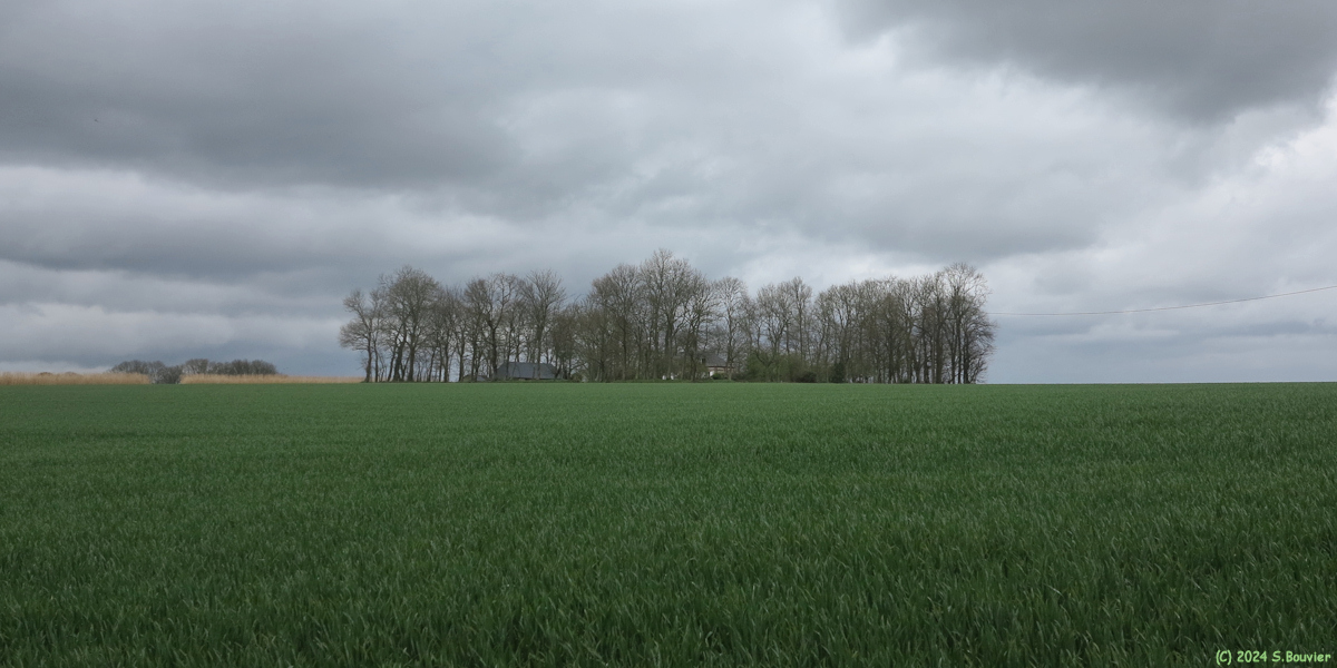 Normanville (Clos-Masure)