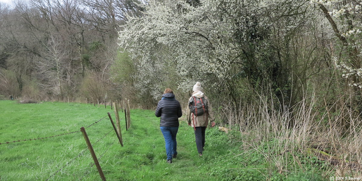 Sorquainville (Chemin 1)