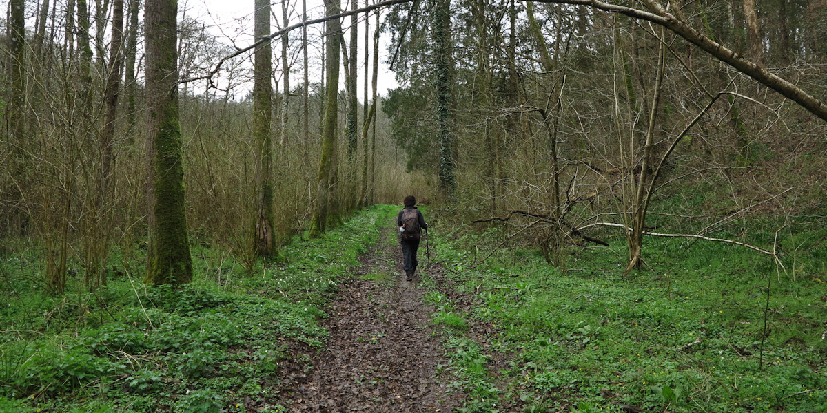 Sorquainville (Chemin 2)