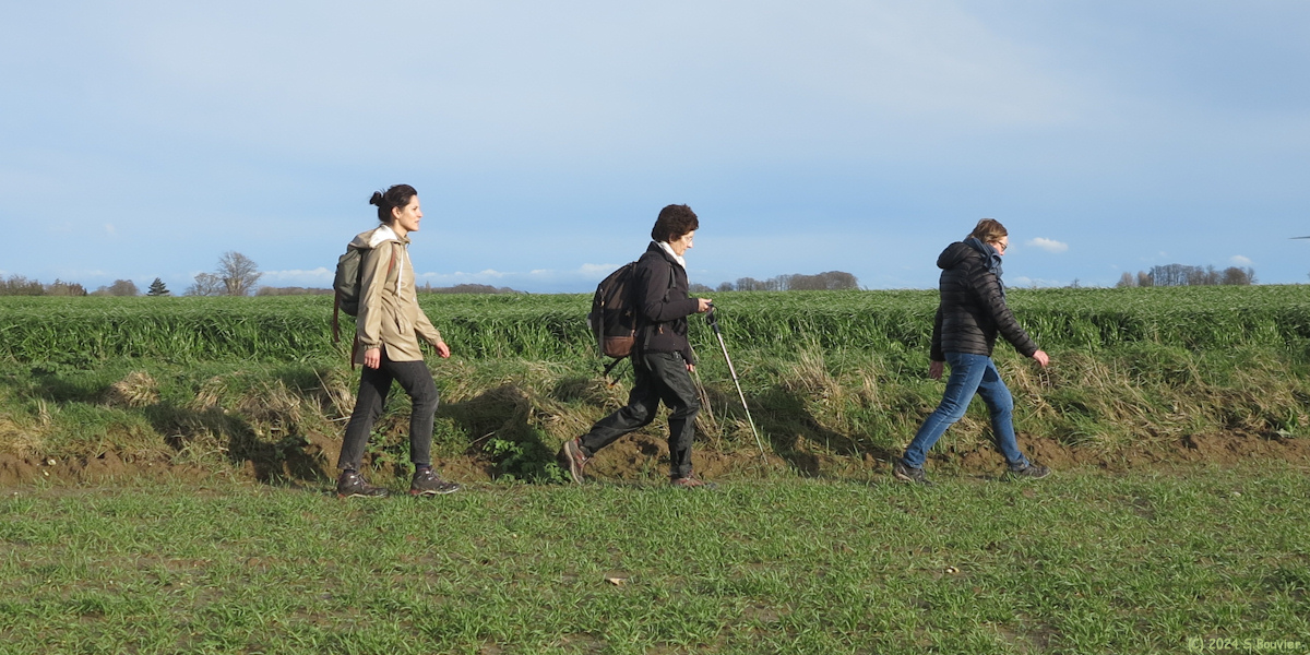 Ypreville Biville (Chemin)
