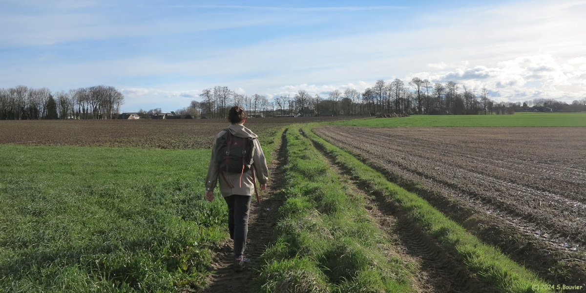 Limpiville (Chemin)