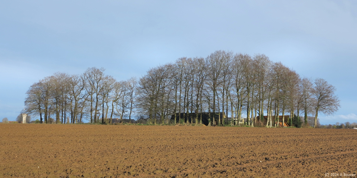 Limpiville (Clos-Masure)