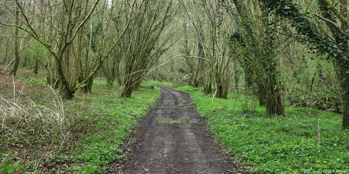 Daubeuf-Serville (Chemin)