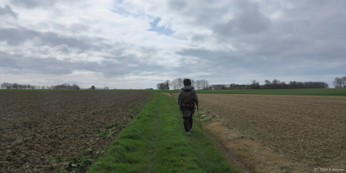 Angerville-Bailleul (Chemin)